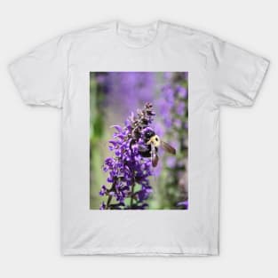 Bumble Bee on a flower T-Shirt